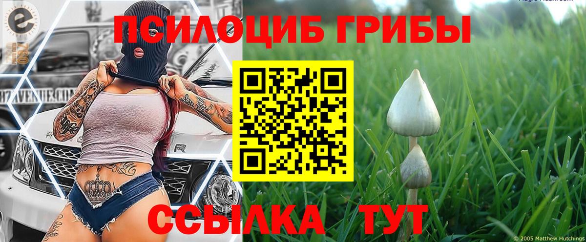 Ивантеевка  Псилоцибиновые грибы ЛСД  Вход с VPN 